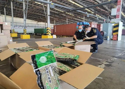 《中華人民共和國進出口食品安全管理辦法》解讀與工程管理咨詢的協(xié)同應用